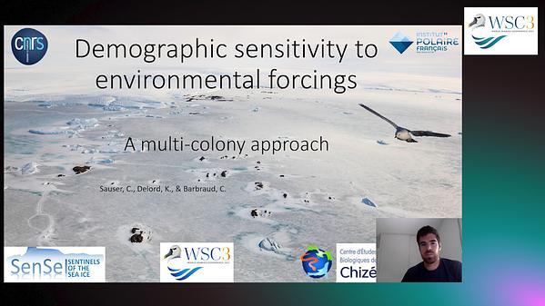 The role of multi-colony studies in understanding seabird demography