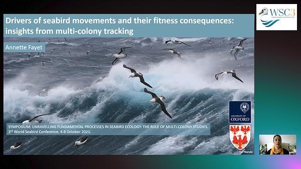 Drivers of seabird movements and their fitness consequences: insights from multi-colony tracking