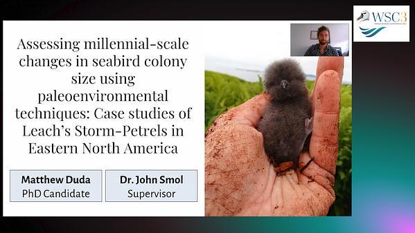 Assessing millennial-scale changes in seabird colony size using paleoenvironmental techniques: Case studies of Leach's Storm-Petrels in Eastern North America