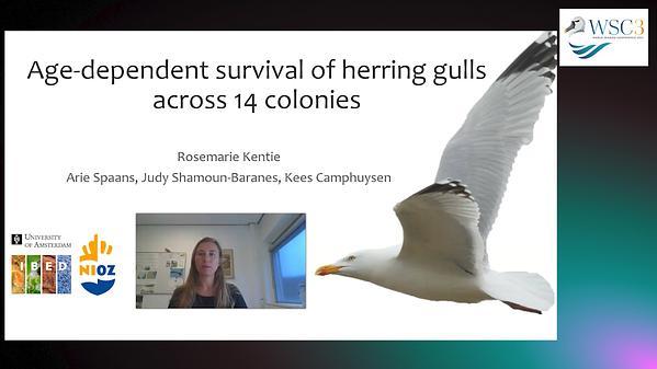 Age-dependent survival of Herring Gulls across 14 contrasting colonies