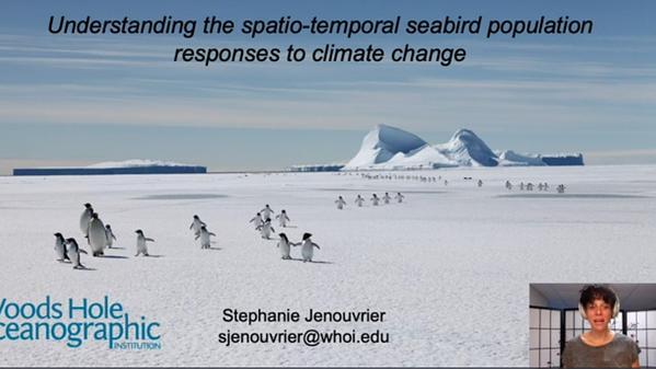 Understanding the spatio-temporal seabird population responses to climate change.