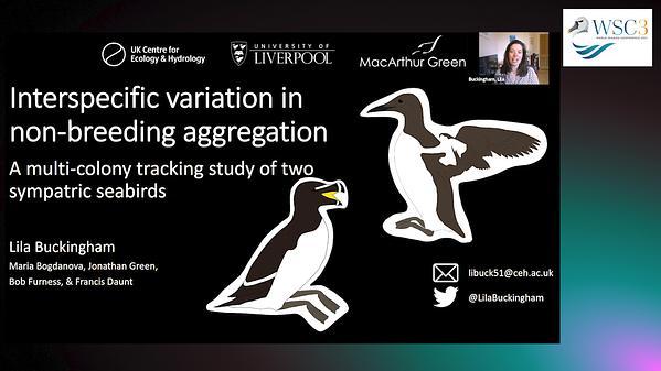 Interspecific variation in non-breeding aggregation: a multi-colony tracking study of two sympatric seabirds