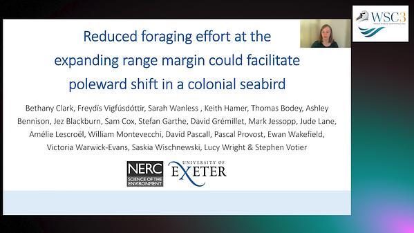 Reduced foraging effort at the expanding range margin could facilitate poleward shift in a colonial seabird, the Northern gannet Morus bassanus