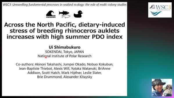 Across the North Pacific, dietary-induced stress of breeding rhinoceros auklets increases with high summer Pacific Decadal Oscillation index.