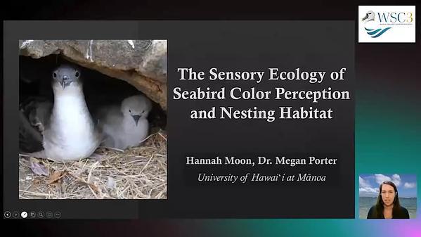 The sensory ecology of seabird color perception and nesting habitat