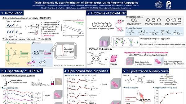 Triplet Dynamic Nuclear Polarization of Biomolecules Using Porphyrin Aggregates