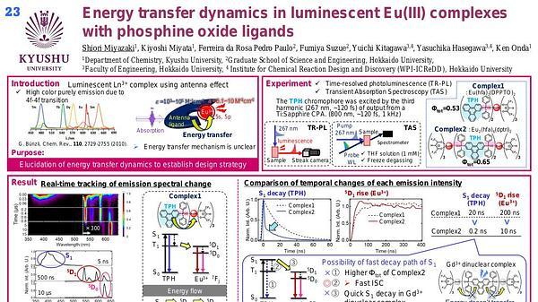Energy transfer dynamics in luminescent Eu(III) complexes with phosphine oxide ligands