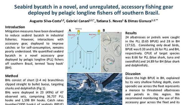 Seabird bycatch in a novel, and unregulated, accessory fishing gear deployed by pelagic longline fishers off southern Brazil.