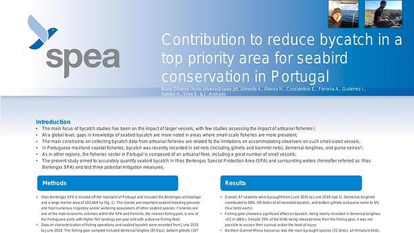 Contribution to reduce bycatch in a top priority area for seabird conservation in Portugal
