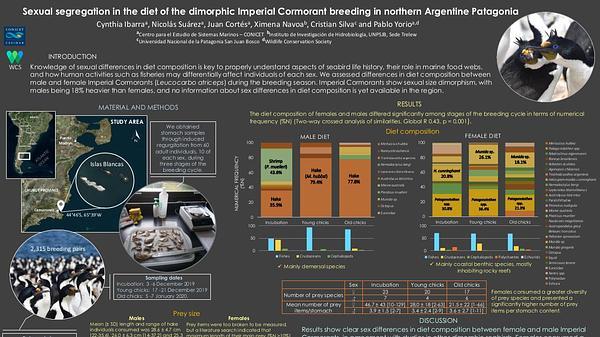 Sexual segregation in the diet of the dimorphic Imperial Cormorant breeding in northern Argentine Patagonia