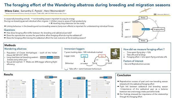 The foraging effort of the Wandering albatross (Diomedea exulans) during breeding and migration seasons