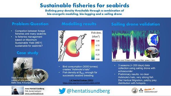 Sustainable fisheries for seabirds: Defining prey density thresholds through a combination of bio-energetic modeling, bio-logging and an unmanned surface vessel
