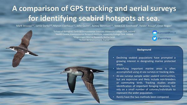 A comparison of GPS tracking and aerial surveys in identifying seabird hotspots at sea