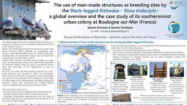 The use of man-made structure as breeding site by black-legged kittiwake (Rissa tridactyla): a global overview and the case study of its southernmost urban colony at Boulogne-sur-Mer (France)