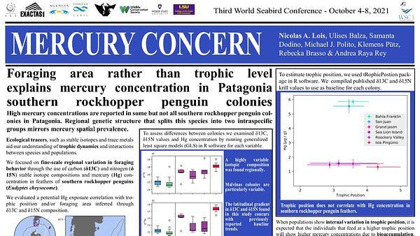 Foraging area rather than trophic level explains mercury concentration in Patagonian rockhopper penguin colonies