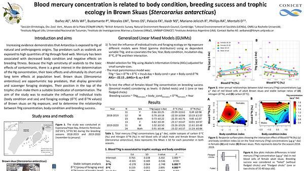 Blood mercury concentration is related to body condition, breeding success and trophic ecology in Brown Skuas (Stercorarius antarcticus)