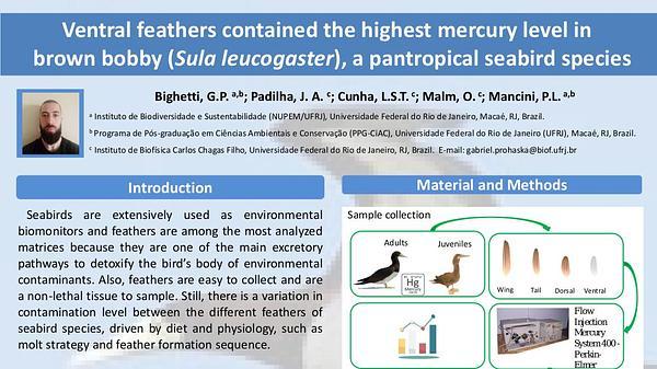 Ventral feathers contained the highest mercury level in brown bobby (Sula leucogaster), a pantropical seabird species