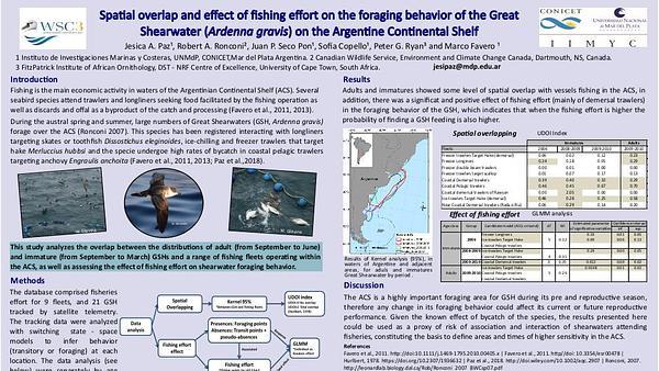Spatial overlap and effect of fishing effort on the foraging behavior of the Great Shearwater (Ardenna gravis) on the Argentine Continental Shelf