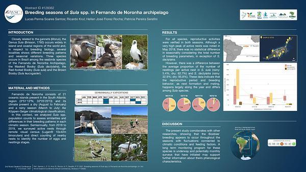 Breeding seasons of sula spp. in fernando de noronha archipelago