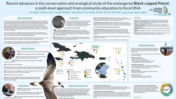 Recent advances in the conservation and ecological study of the endangered Black-capped petrel: a multi-level approach from community education to fecal DNA