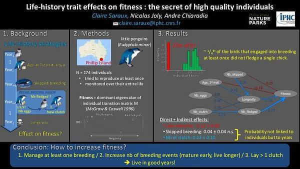Life-history trait effects on fitness in little penguins: the secret of high quality individuals.