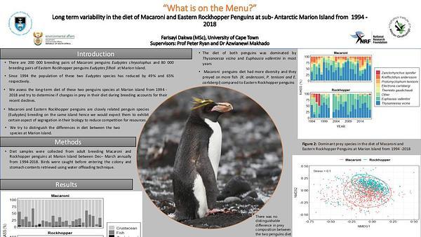 What is on the menu? Long-term variability in the diet of the Macaroni and Rockhopper Penguins at sub-Antarctic Marion Island