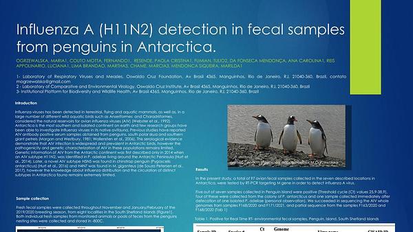 Influenza A (H11N2) detection in fecal samples from penguins in Antarctica
