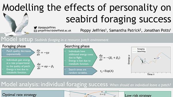 Modelling the effects of personality on seabird foraging behaviour