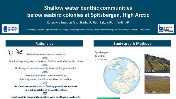 Diversity of shallow water benthic communities below seabird colonies at Spitsbergen, High Arctic