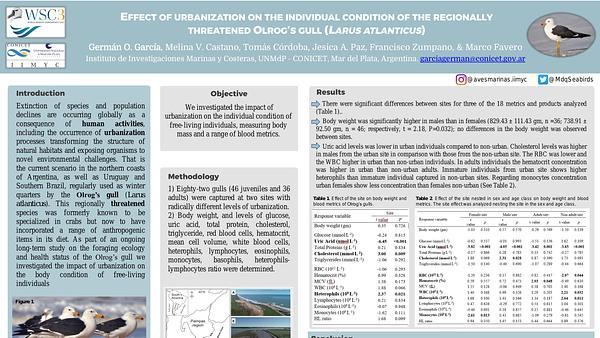 Effect of urbanization on the individual condition of the regionally threatened Olrog´ gull