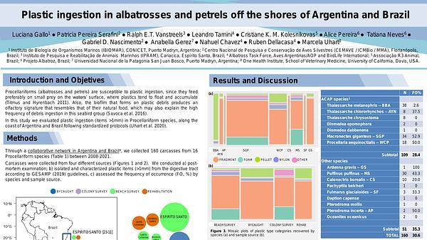 Plastic ingestion in albatrosses and petrels off the shores of Argentina and Brazil