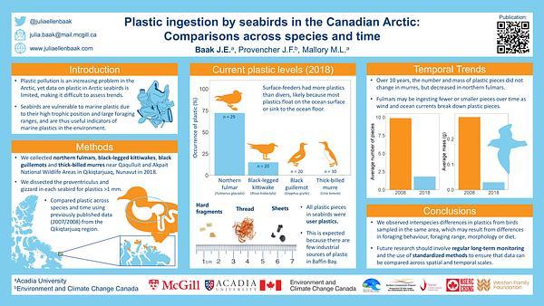 Plastic ingestion by four seabird species in the Canadian Arctic: Comparisons across species and time