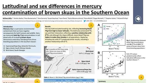 Latitudinal and sex differences in mercury contamination of brown skuas in the Southern Ocean