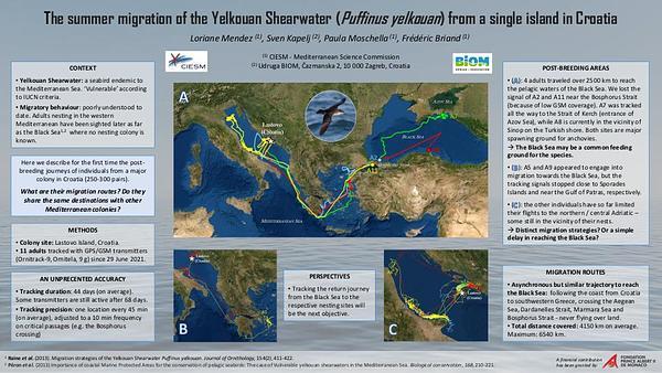 The summer migration of the Yelkouan Shearwater (Puffinus yelkouan) from a single island in Croatia