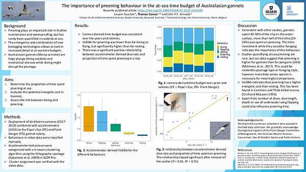 The importance of preening behaviour in the at-sea time budget of Australasian gannets