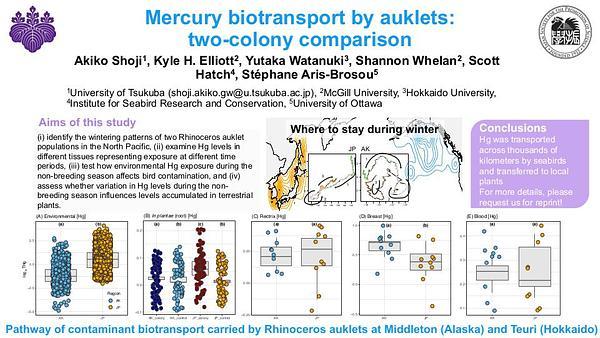 Mercury biotransport by auklets: two-colony comparison