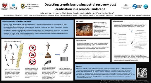 Detecting cryptic burrowing petrels recovery post eradication in a remote landscape