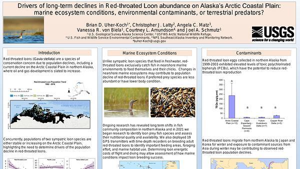 Drivers of long-term declines in Red-throated Loon abundance on Alaska?s Arctic Coastal Plain: marine ecosystem conditions, environmental contaminants, or terrestrial predators?