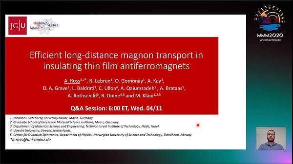 Efficient Magnon Transport in Insulating Antiferromagnets Governed by Domain Structures and Doping