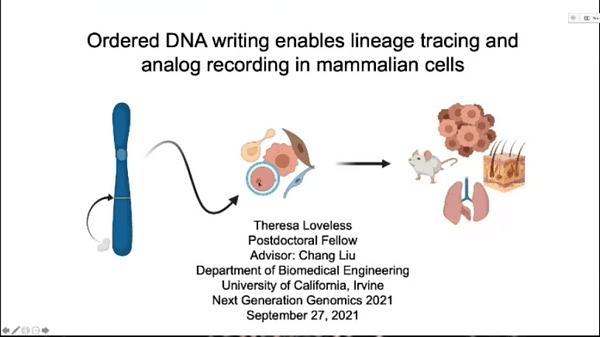 Long-term DNA recording with ordered insertion mutations