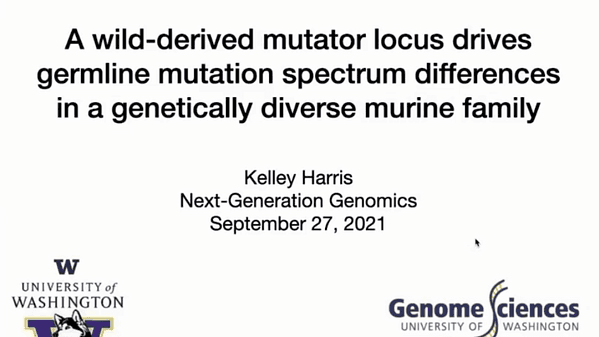 A wild-derived mutator locus drives germline mutation spectrum differences in a genetically diverse murine family