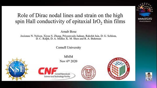 Role of Dirac Nodal Lines and Strain on the Spin Hall Conductivity of Epitaxial IrO2 Thin Films