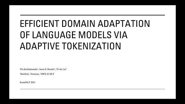Efficient Domain Adaptation of Language Models via Adaptive Tokenization