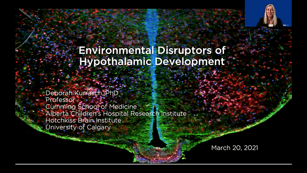 Environmental Disruptors of Hypothalamic Development