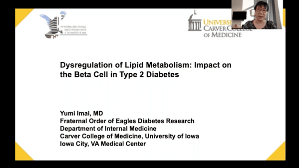Dysregulation of Lipid Metabolism: Impact on the Beta Cell in Type 2 Diabetes
