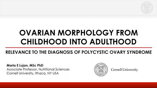 Ovarian Morphology From Childhood into AdulthoodRelevance to the Diagnosis of Polycystic Ovary Syndrome