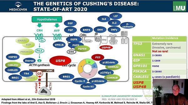 Genetics of Cushing's Disease