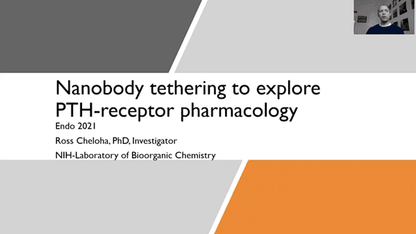 Nanobody Tethering to Explore PTH-Receptor Pharmacology