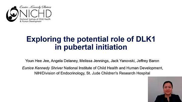 Exploring the Potential Role of DLK1 in Pubertal Initiation
