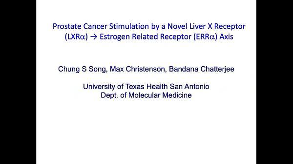 Prostate Cancer Stimulation by a Novel Liver X Receptor (LXRα) → Estrogen Related Receptor (ERRα) Axis